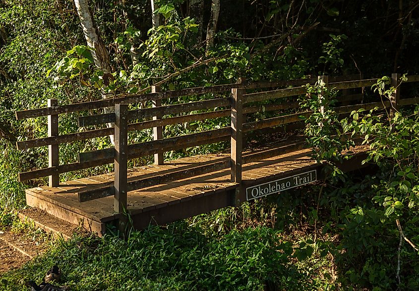 Entrance bridge to the Okolehao Trail up the Kauai Mountains.