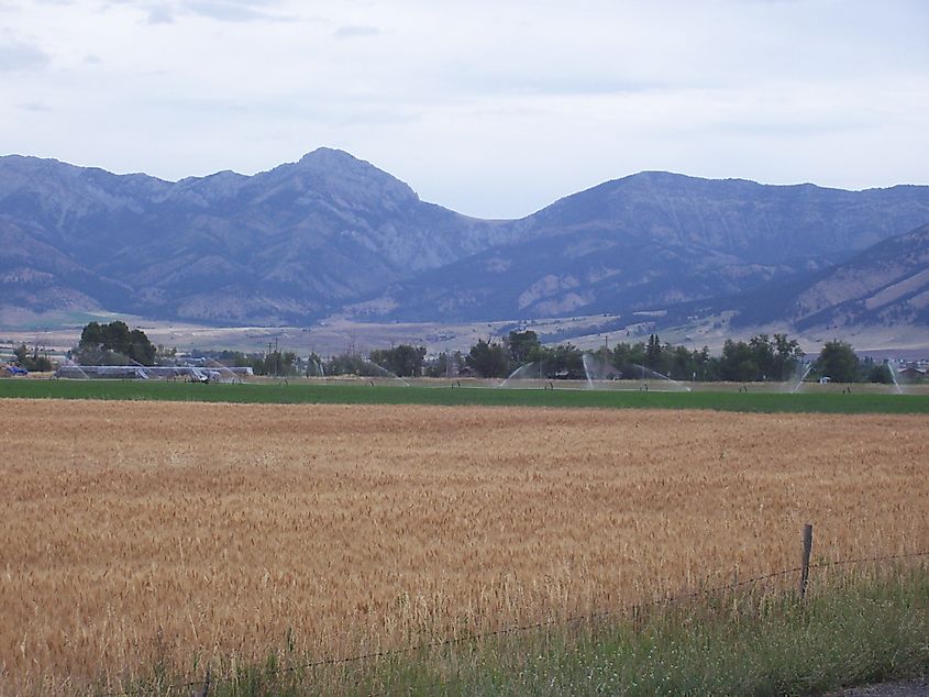 Belgrade, Montana. In Wikipedia. https://en.wikipedia.org/wiki/Belgrade,_Montana By BelgradeBobcat - I BelgradeBobcat took this photo while on a bike ride., Public Domain, https://commons.wikimedia.org/w/index.php?curid=31376516