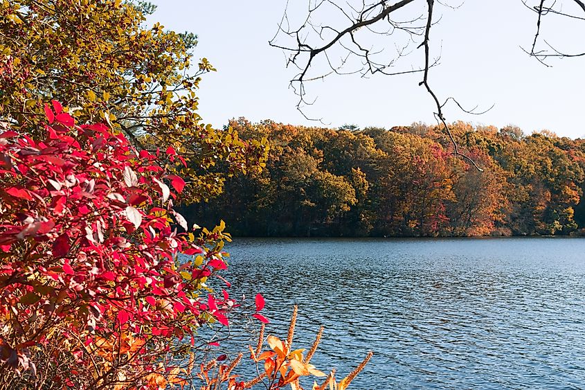 Killens Pond State Park in Felton, Delaware.