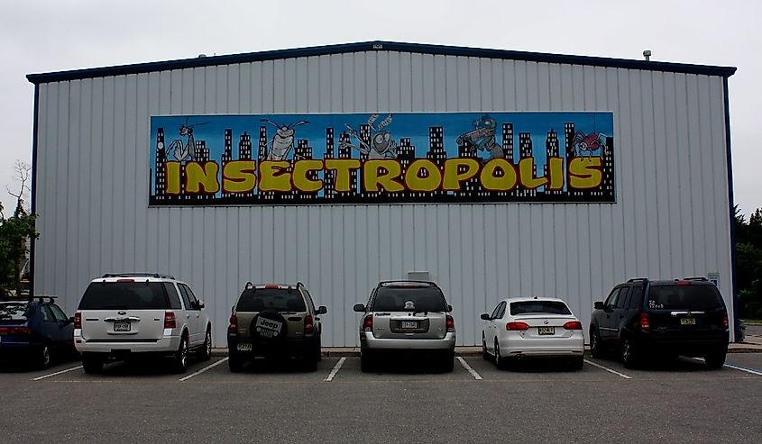 Insectropolis, Toms River, New Jersey.