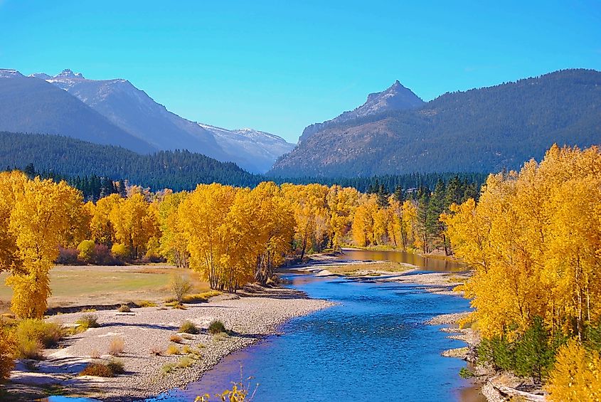 View of fall colors in the Biterroot Valley near Hamilton, Montana.