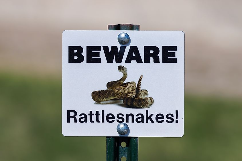 Beware of Rattlesnakes.