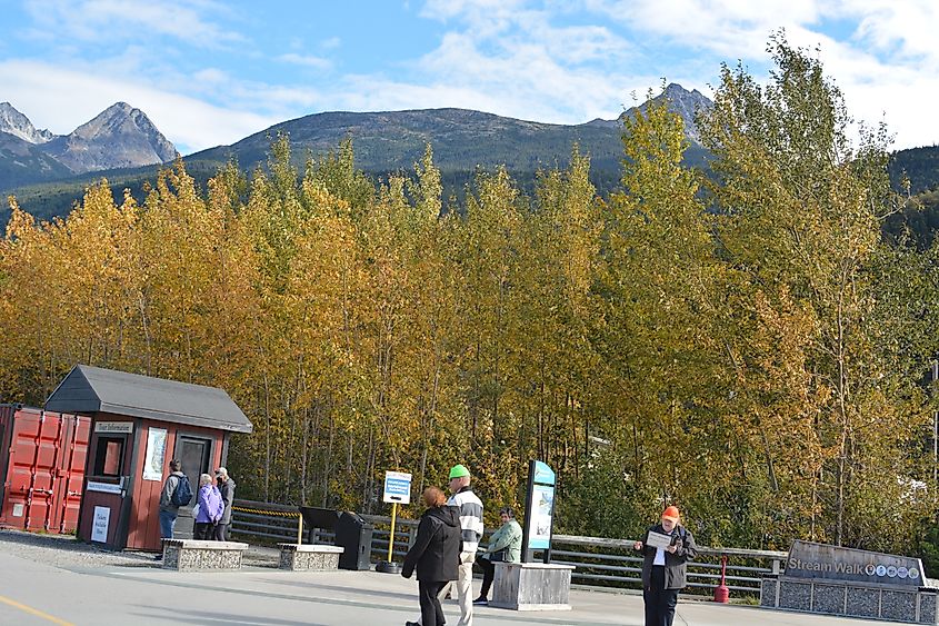 View of Skagway in Alaska.