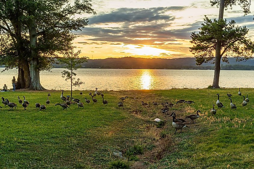  Lake Guntersville in Guntersville, Alabama.