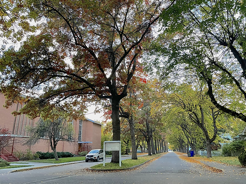 Dalton Avenue in Millwood in fall. 