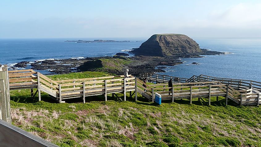 'The Nobbies': site of Captain Wetherall's 1826 flagstaff