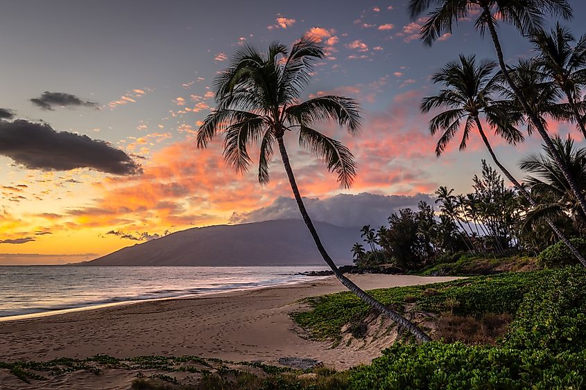 Hawaiian sunset wonder in Kihei, Maui.