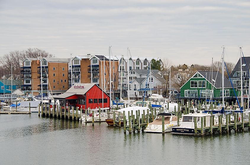 Yachts parked for the winter in Annapolis marina