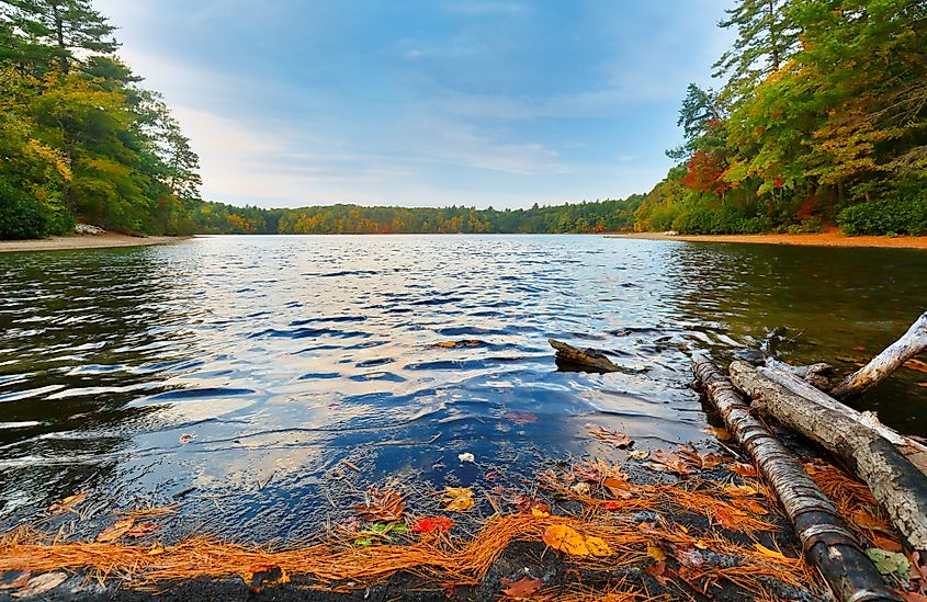 Beautiful fall foliage at sunrise over Walden Pond in Concord, Massachusetts.