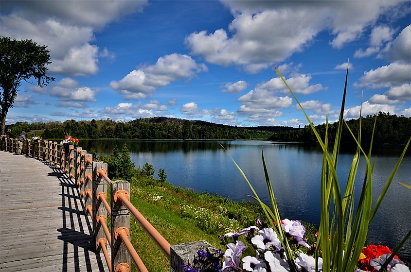 The Horn Lake in Elliot Lake decorated with wild flowers and beautiful clouds formation. 