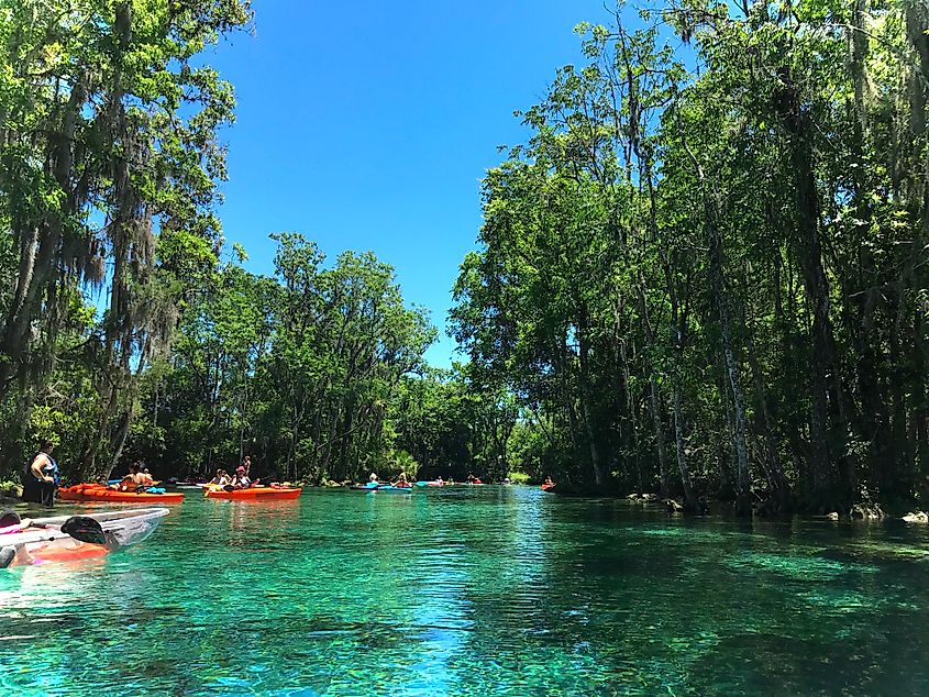 Crystal river in Florida is a very beautiful place.