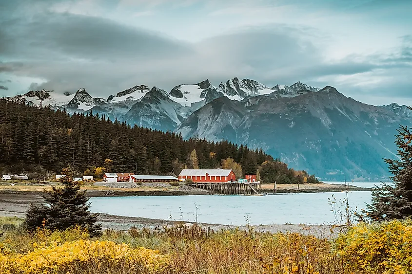 Stunning fall scenery in Haines, Alaska.