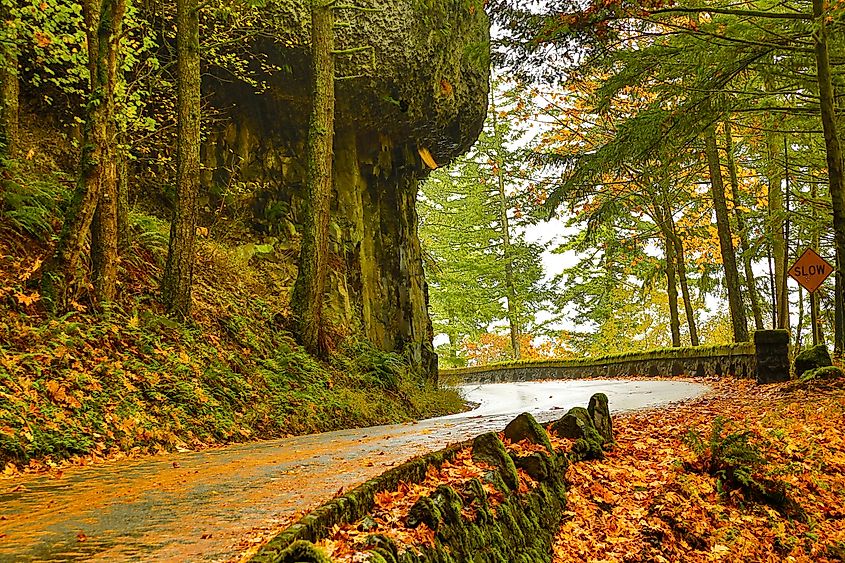 The old Columbia River Gorge highway in the Columbia River Gorge National Scenic Area, Oregon