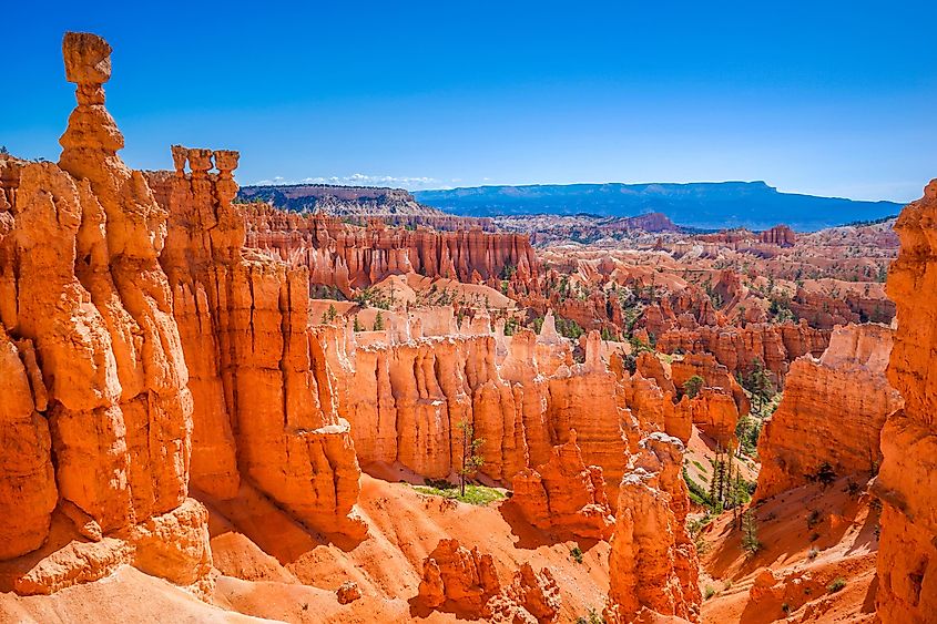 Looking out over the hoodoos in Bryce Canyon National Park, Utah.