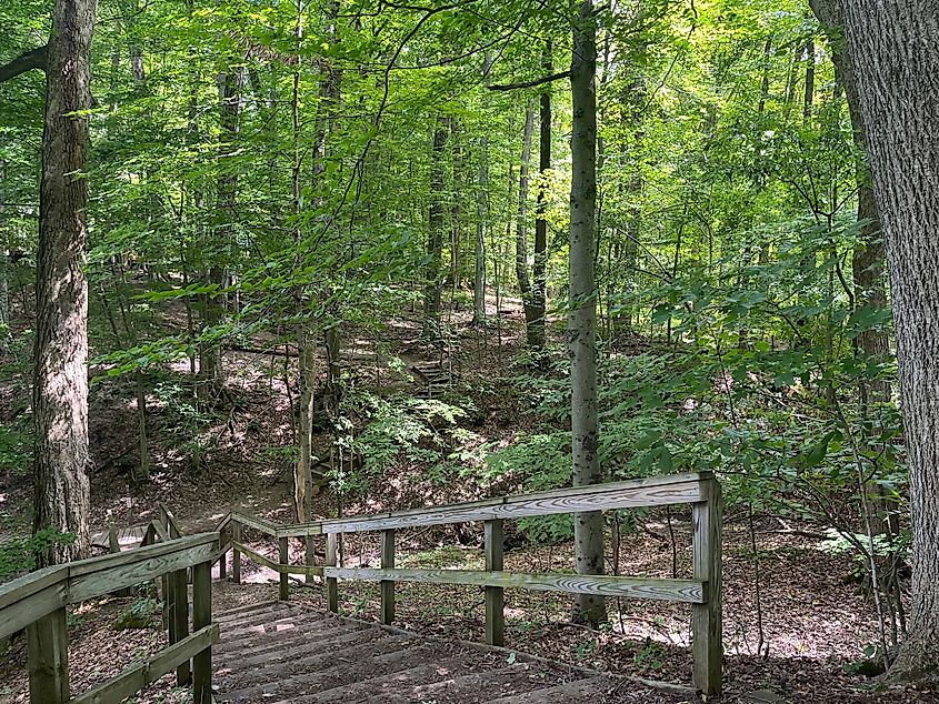 Blandford Nature Center - Walker, Michigan 