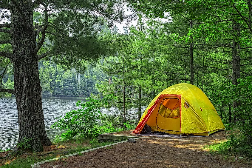 Lakes and forest in northern Minnesota's canoe country.