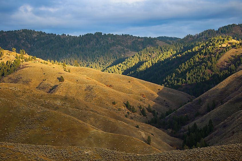 Late autumn in the Boise foothills, Idaho.