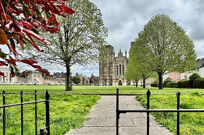 Wells Cathedral viewd from The Swan Hotel Image credit Bryan Dearsley