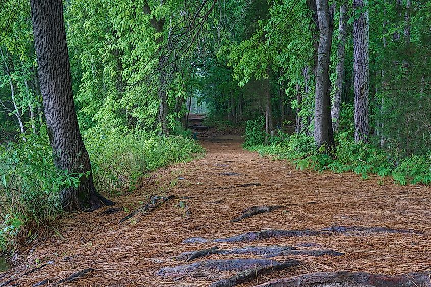 Trail in the Anne Springs Close Greenway near Fort Mill, South Carolina.