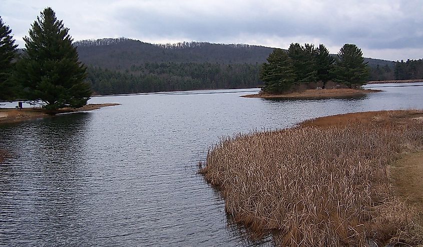 Lake Sherwood with marshlands and low mountains in the background