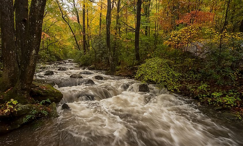 Cascade running through the Jones Gap State Park in autumn.