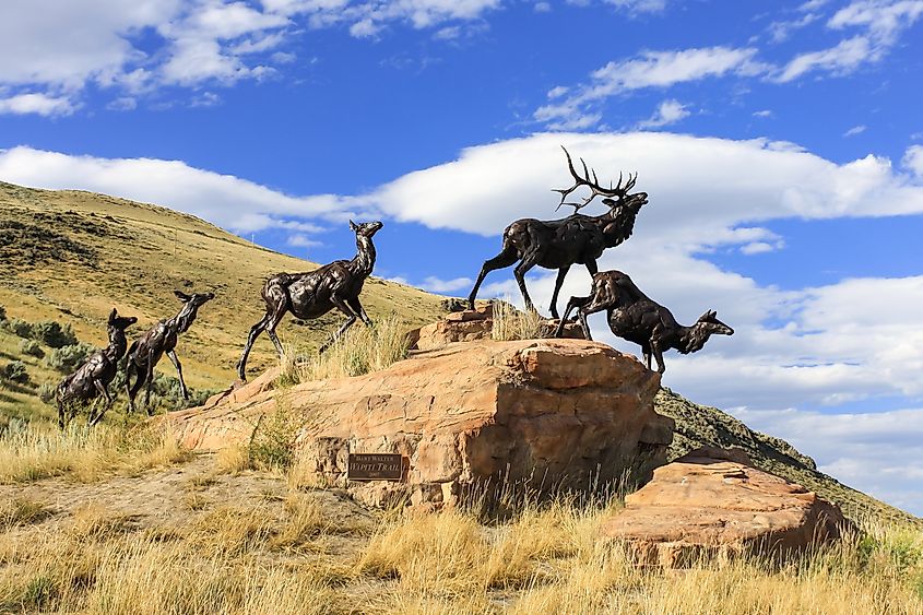 Bronze sculptures in the National Museum of Wildlife Art in Wyoming.