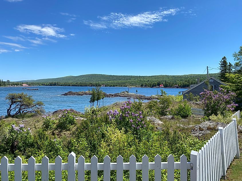 A white picket fence and ample greenery stand before a quaint harbor 