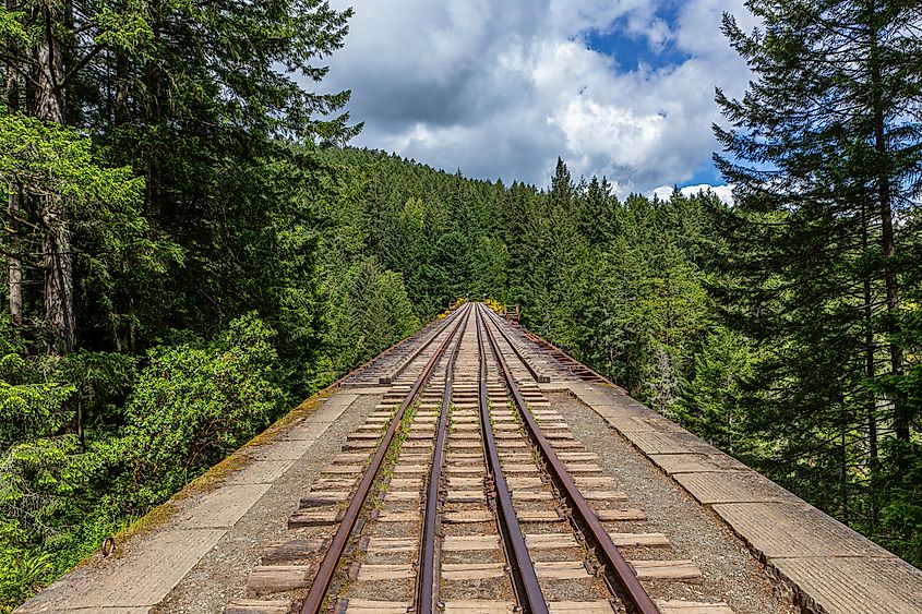 Goldstream Provincial Park, Vancouver Island, British Colombia, Ca.