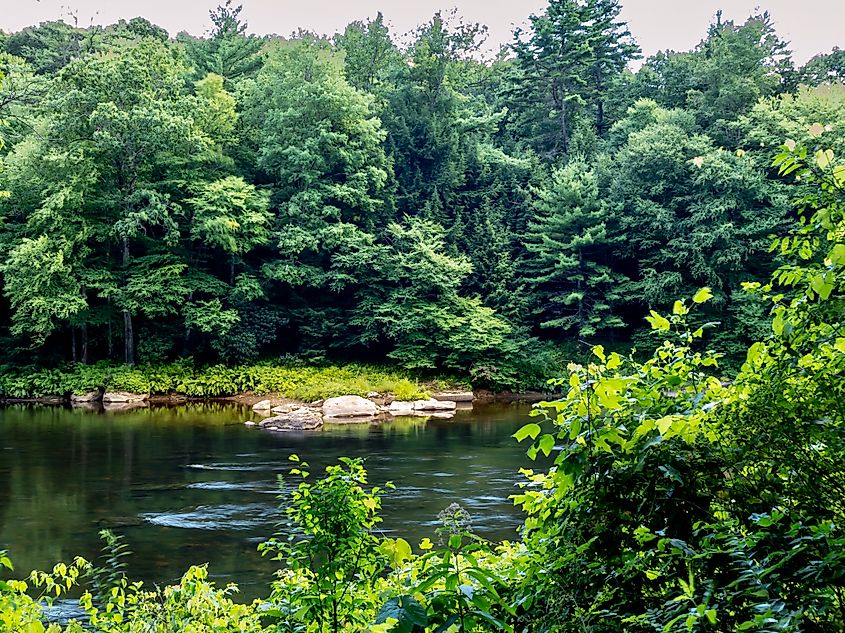 View of the Charion River in Cook Forest State Park near the Gatway Lodge.