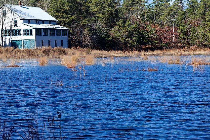 Cranberry Bogs at Double Trouble State Park New Jersey
