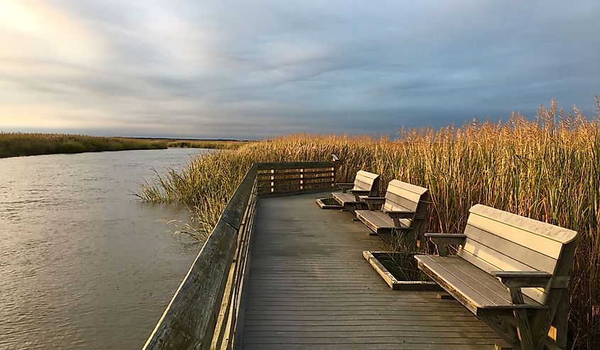 Bombay Hook National Wildlife Refuge