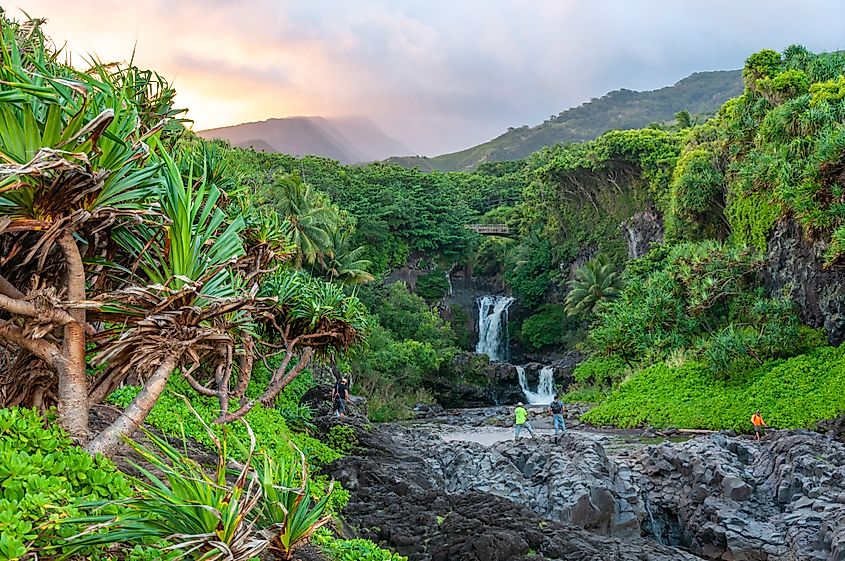 Lush landscape with waterfalls in Maui, Hawaii.