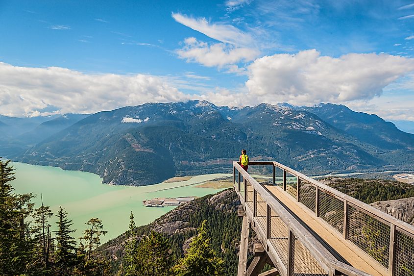 Viewing platform on famous Sea to Summit hike in Squamish, British Columbia