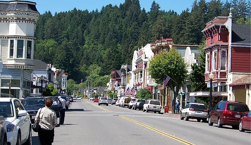 Street in Ferndale, California.