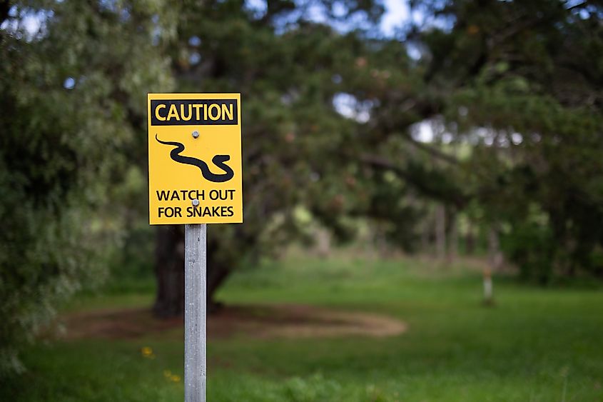 View of yellow snake warning.