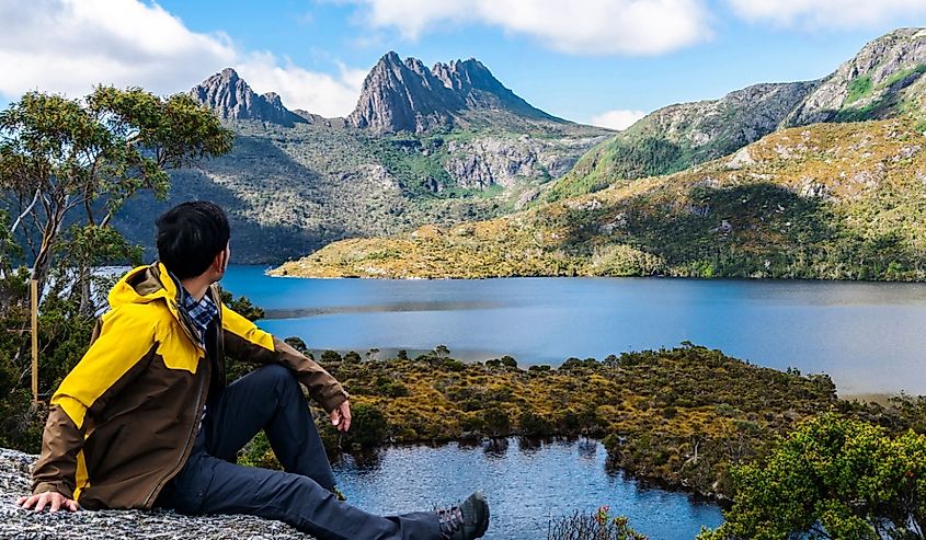 Traveller exploring the landscape of Marions lookout trail in Cradle Mountain National Park