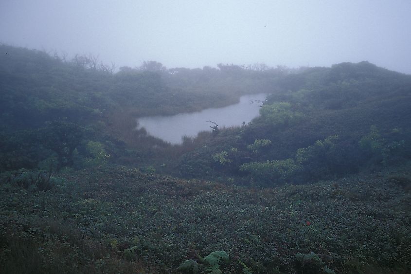 Violet Lake, Hawaii