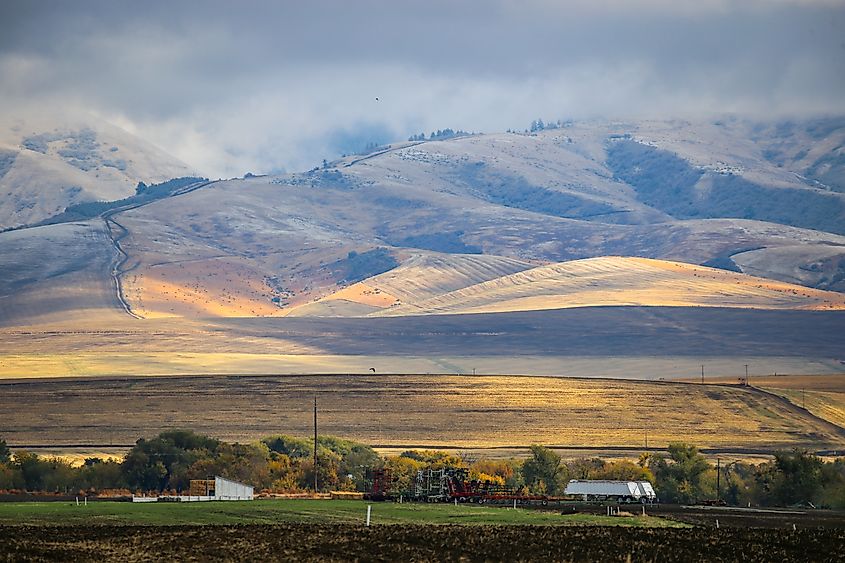 Blue Mountains in Walla Walla, Washington