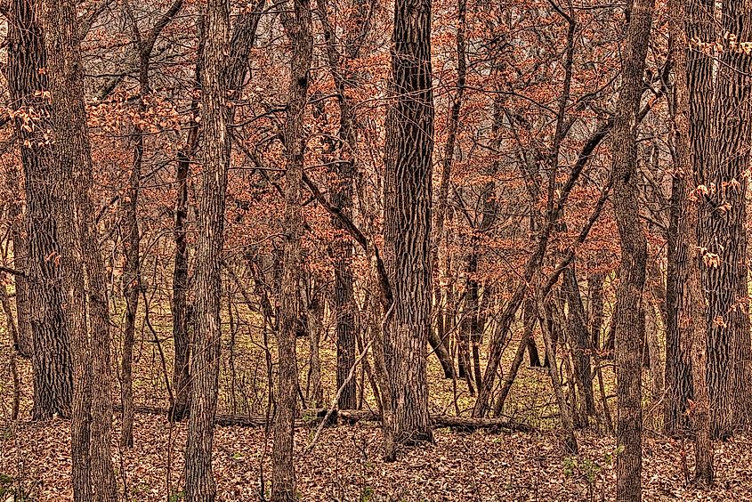 Newton Hills State Park is in South Dakota by Sioux Falls