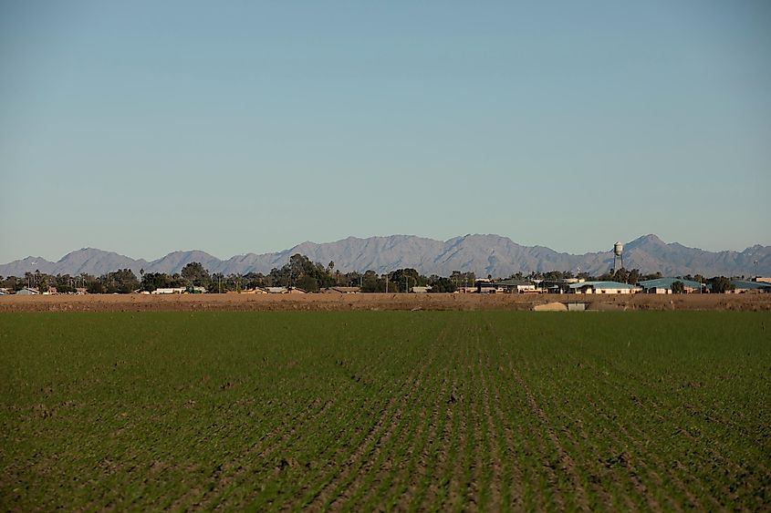 Afternoon view of the city of Somerton, Arizona.