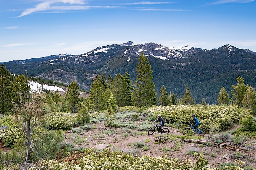 Mountain biking near Truckee, California.