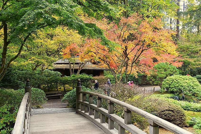 Japanese garden