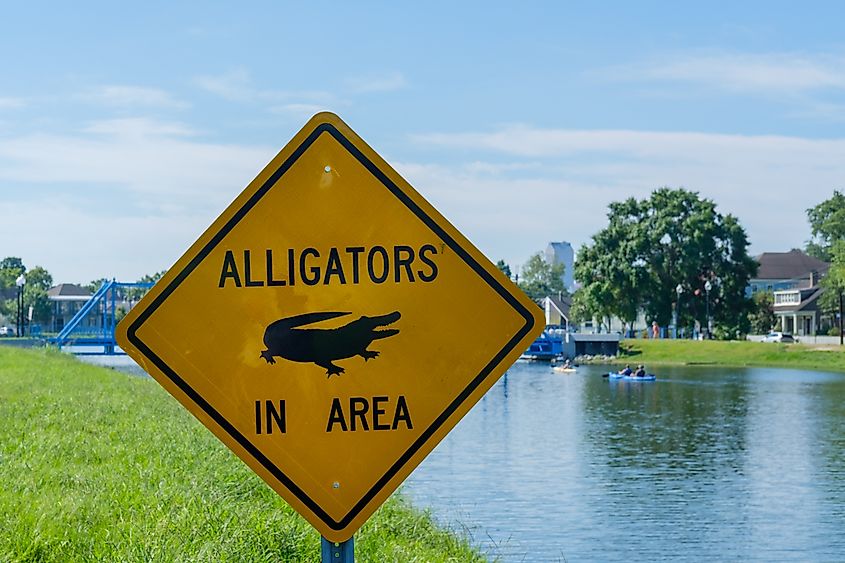 "Alligators in the Area" sign on Bayou St. John in New Orleans, Louisiana.