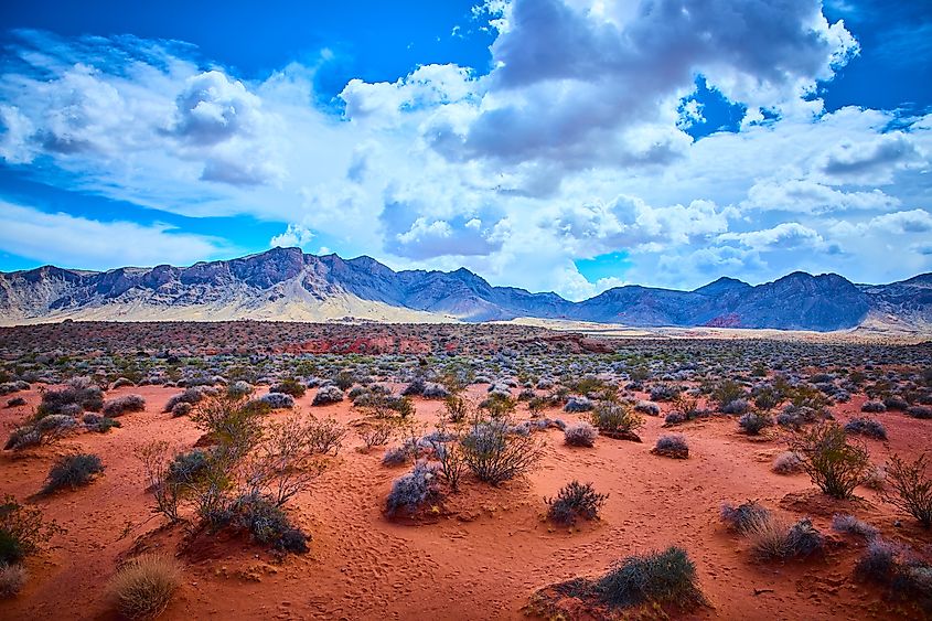 Rugged Nevada Desert with Red Sands and Mountains.