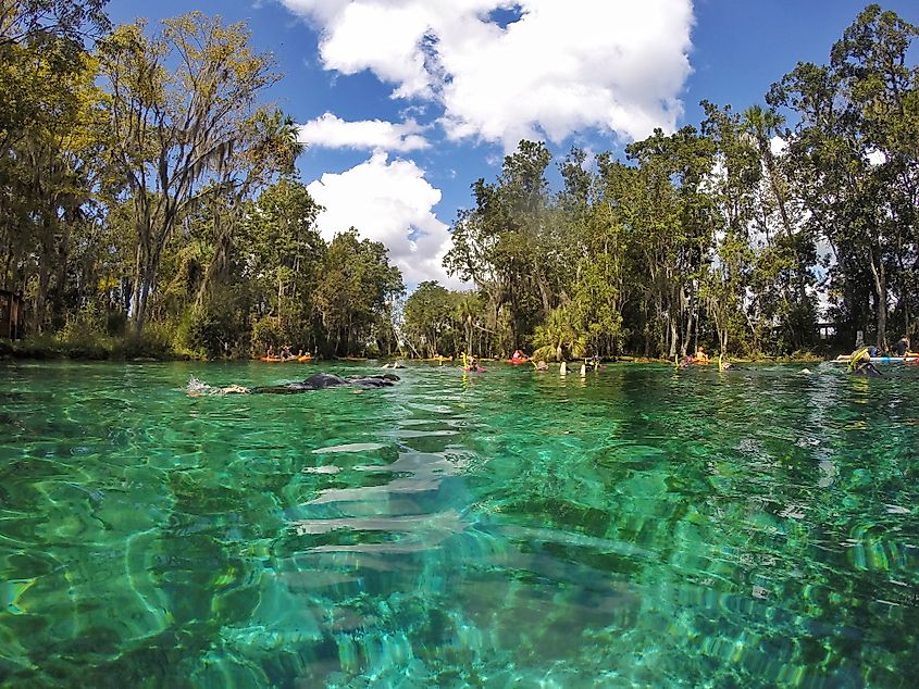 Three Sisters Springs, located in Crystal River, Florida