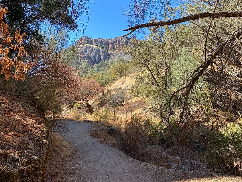 A hiking trail leading through an arid forest to dark, volcanic mountains in the background.