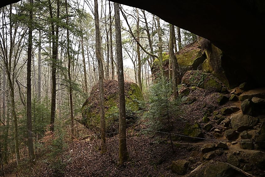 Natural Bridge in Alabama.