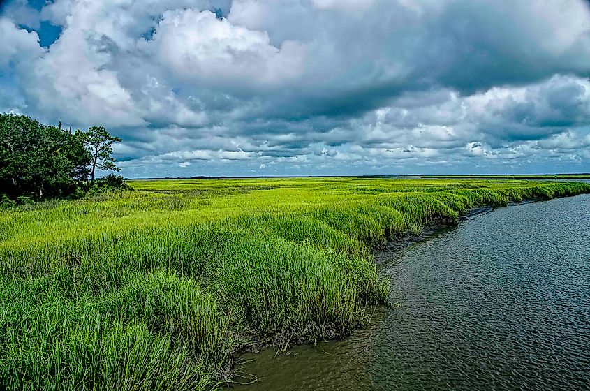 Salt marshes at Little St. Simon's Island, Georgia, USA.