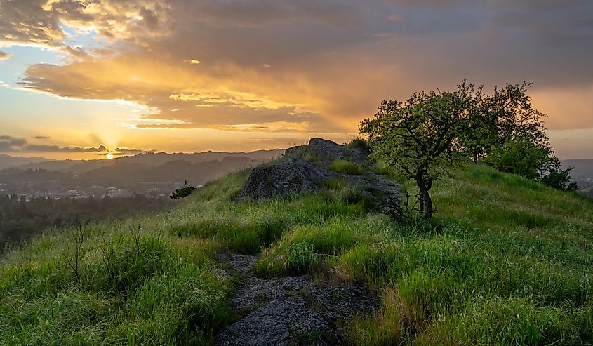 Mount Diablo State Park, California.