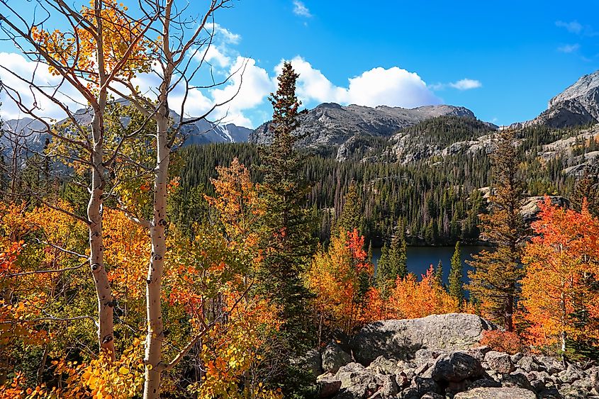 Fall foliage in the Rocky Mountain National Park.